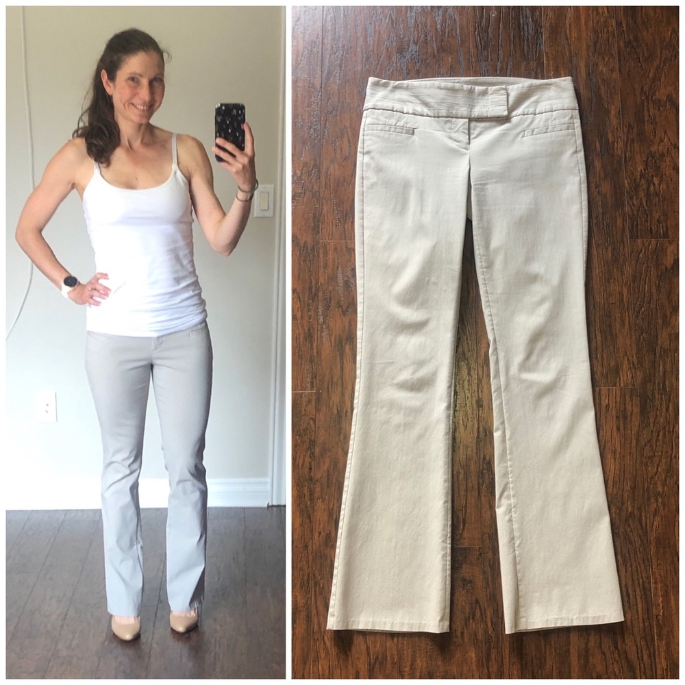 🌎The Limited Exact Stretch pants in gray